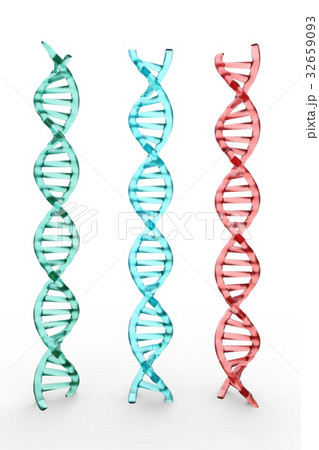 three dna structures on white background 32659093