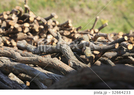 紀州備長炭 32664233