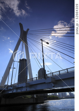 佃中央大橋 佃中央大橋 32664309