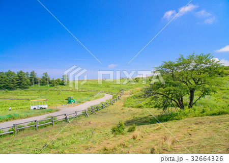 【長野県】夏の高ボッチ高原、草競馬場 【長野県】夏の高ボッチ高原、草競馬場 32664326