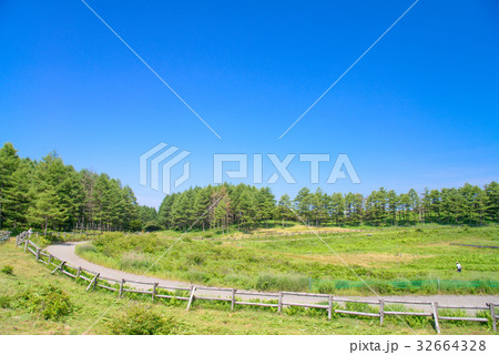 【長野県】夏の高ボッチ高原、草競馬場 【長野県】夏の高ボッチ高原、草競馬場 32664328