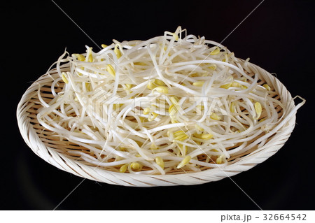 豆もやし 豆もやし 32664542