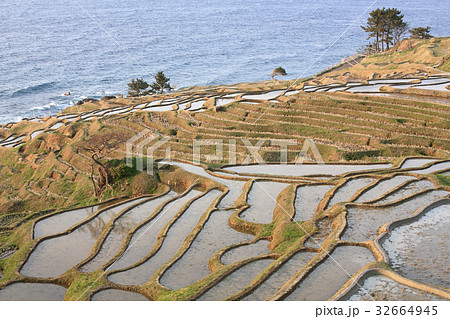 輪島白米千枚田 32664945