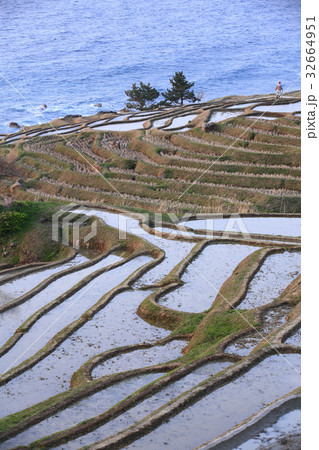 輪島白米千枚田 32664951