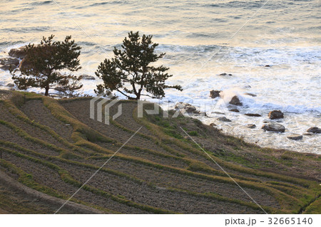 輪島白米千枚田 輪島白米千枚田 32665140