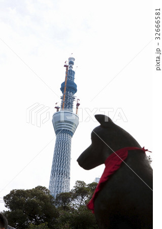 東京スカイツリー 32666581