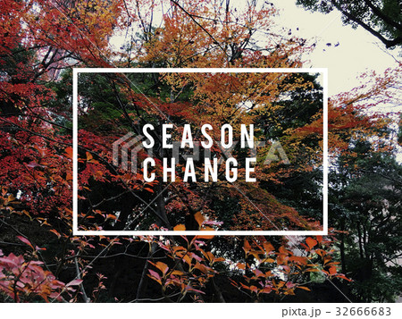 Autumn season change nature beautiful scenery 32666683
