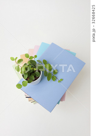 山積みの本と観葉植物 32668425