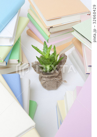 山積みの本と観葉植物 32668429