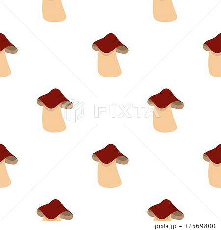 Boletus pattern flat Boletus pattern flat 32669800
