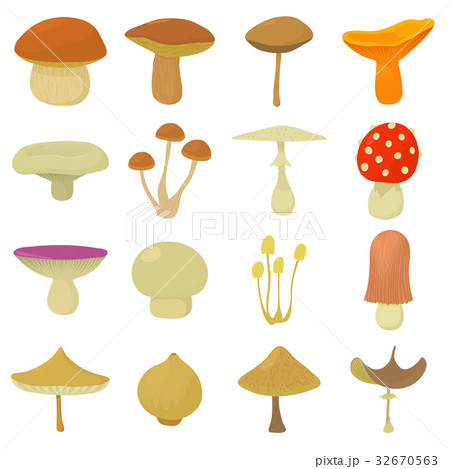 Mushroom types icons set, cartoon style Mushroom types icons set, cartoon style 32670563