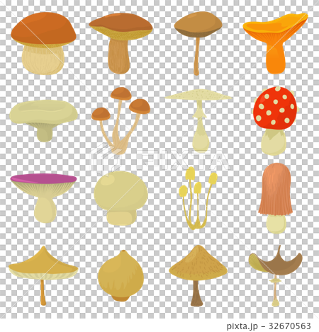 Mushroom types icons set, cartoon style Mushroom types icons set, cartoon style 32670563