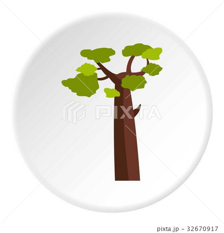Baobab icon circle 32670917