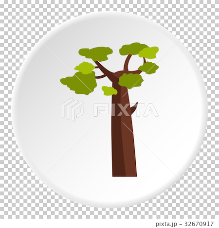 Baobab icon circle 32670917