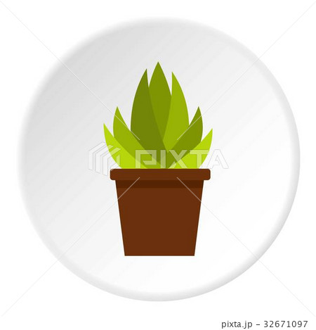 Cactus with flowers icon circle Cactus with flowers icon circle 32671097