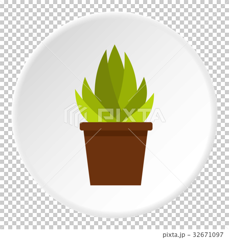 Cactus with flowers icon circle Cactus with flowers icon circle 32671097