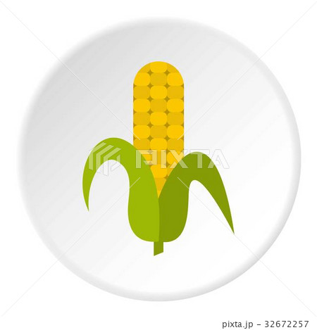 Ripe corncob icon circle 32672257