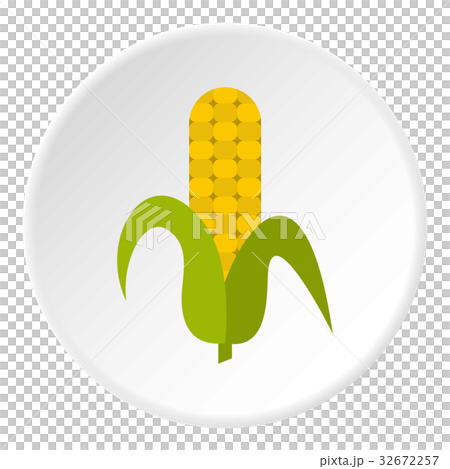 Ripe corncob icon circle 32672257