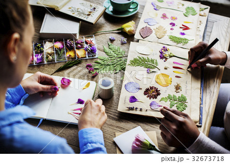 Hands Making Dried Flowers Collection in Book Handmade Work Hobby 32673718