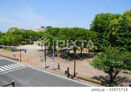 茅ヶ崎中央公園 夏 茅ヶ崎中央公園 夏 32675718