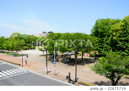 茅ヶ崎中央公園　夏 32675719