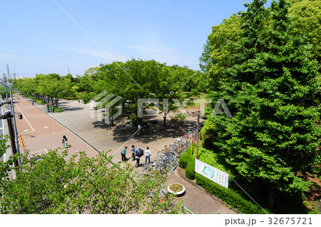 茅ヶ崎中央公園　夏 32675721
