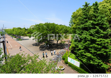 茅ヶ崎中央公園 夏 茅ヶ崎中央公園 夏 32675722