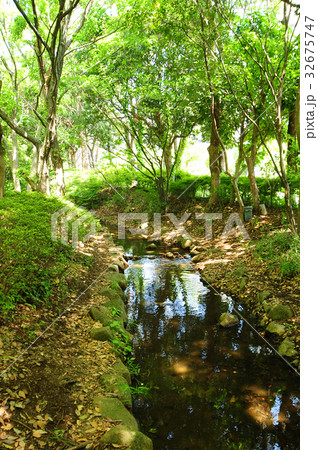 茅ヶ崎中央公園 夏 茅ヶ崎中央公園 夏 32675747
