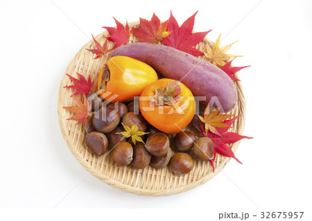 秋の味覚 秋の味覚 32675957