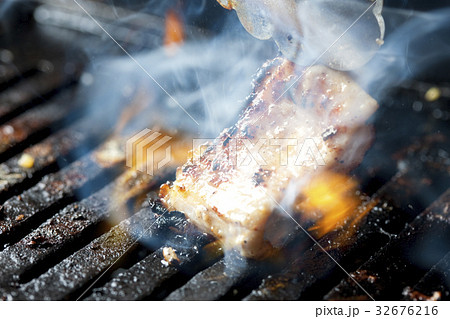 シマチョウ 32676216