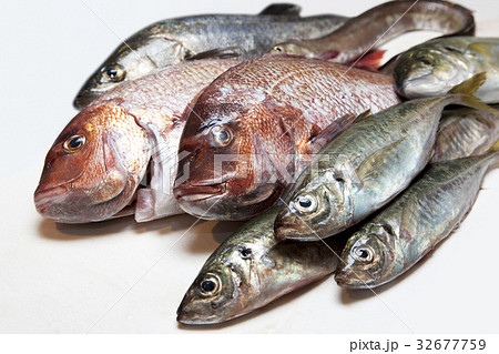 鮮魚 鮮魚 32677759
