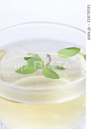 ペパーミントのハーブティー ペパーミントのハーブティー 32678591