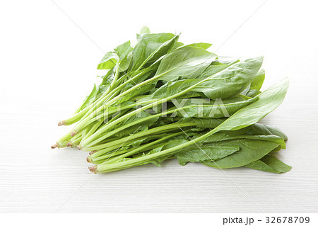 ほうれん草 ほうれん草 32678709