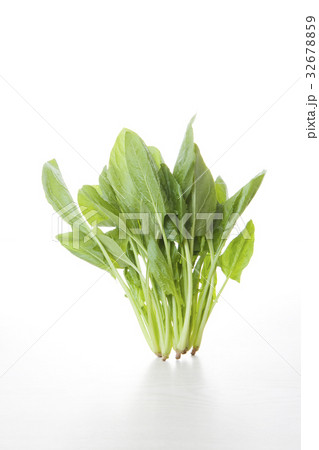 ほうれん草 32678859