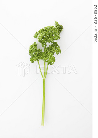 パセリ 32678862