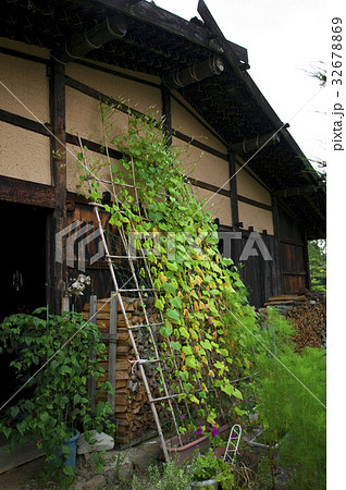 藤原家住宅 32678869