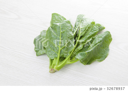 つるむらさき 32678937