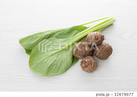 小松菜と里芋 小松菜と里芋 32679077