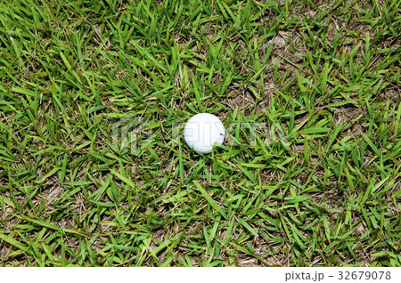 ラフ上のゴルフボール ラフ上のゴルフボール 32679078