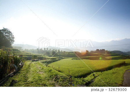 田んぼ 田んぼ 32679300