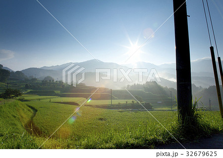 田んぼ 32679625