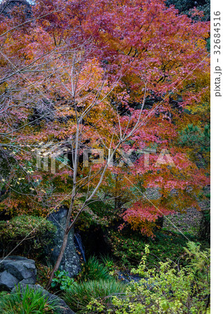Autumn scenery at the park in Kanazawa, Japan 32684516