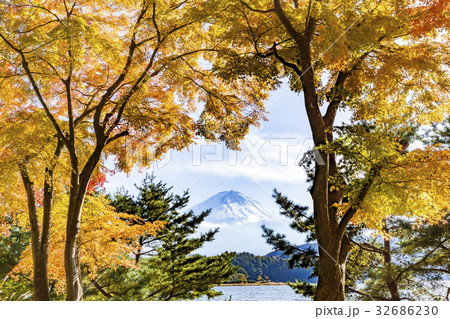 富士山と紅葉 富士山と紅葉 32686230