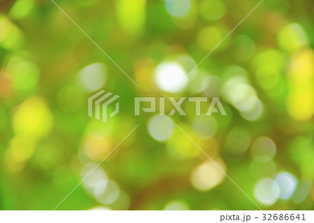 Bokeh nature color background leaf of the tree  32686641