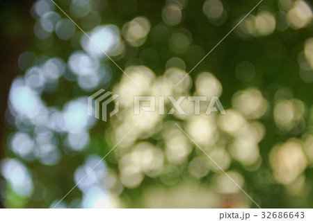 Bokeh nature color background leaf of the tree Bokeh nature color background leaf of the tree 32686643