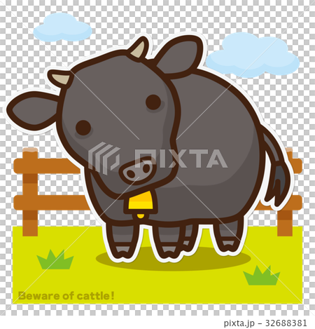 牧場與奶牛Kuroge和牛牛肉 32688381
