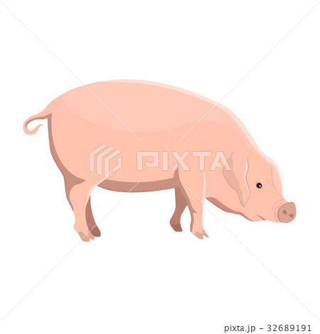 Vector illustration of a pig Vector illustration of a pig 32689191