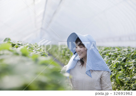 いちご農家 32691962