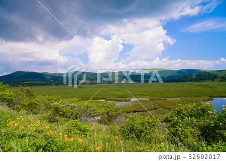 【長野県】ニッコウキスゲ咲く、霧ヶ峰・八島湿原 32692017