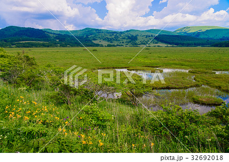 【長野県】ニッコウキスゲ咲く、霧ヶ峰・八島湿原 32692018